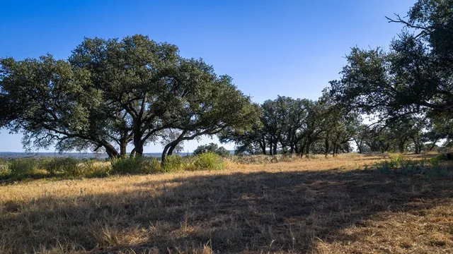 a view of dirt yard with a tree