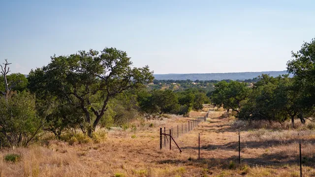 a view of a yard with mountain view