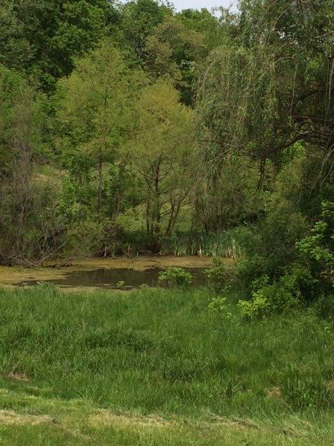 4019 Long Lick Road Stamping Ground, KY 40379 - Photo 24 of 31 Photo 24