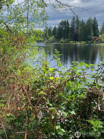 a view of a lake with a forest