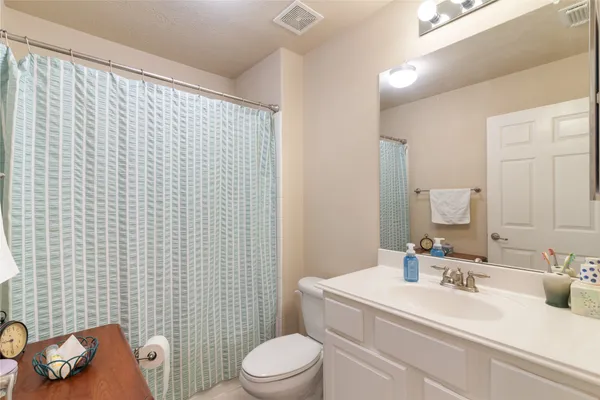a bathroom with a sink a toilet and shower curtain