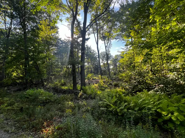 $33,900 | Lot 48-4 Baldwin Hill Road, Kents Hill, ME 04349