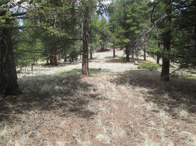 Charming View Rd Divide Divide, CO 80814 - Photo 11 of 11