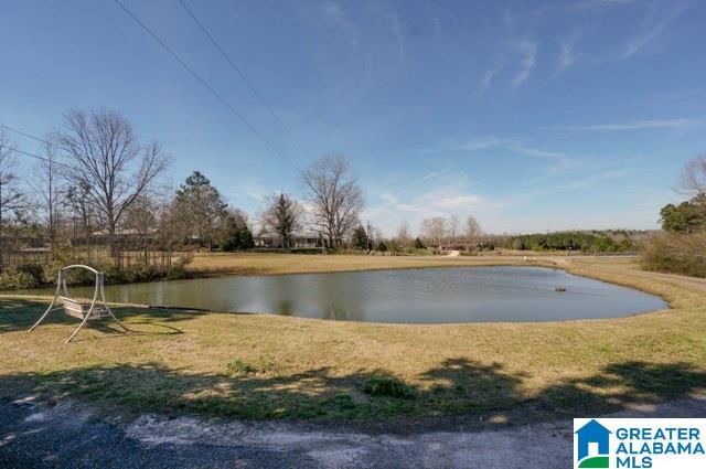 7550 County Road 59 Verbena, AL 36091 - Photo 5 of 41