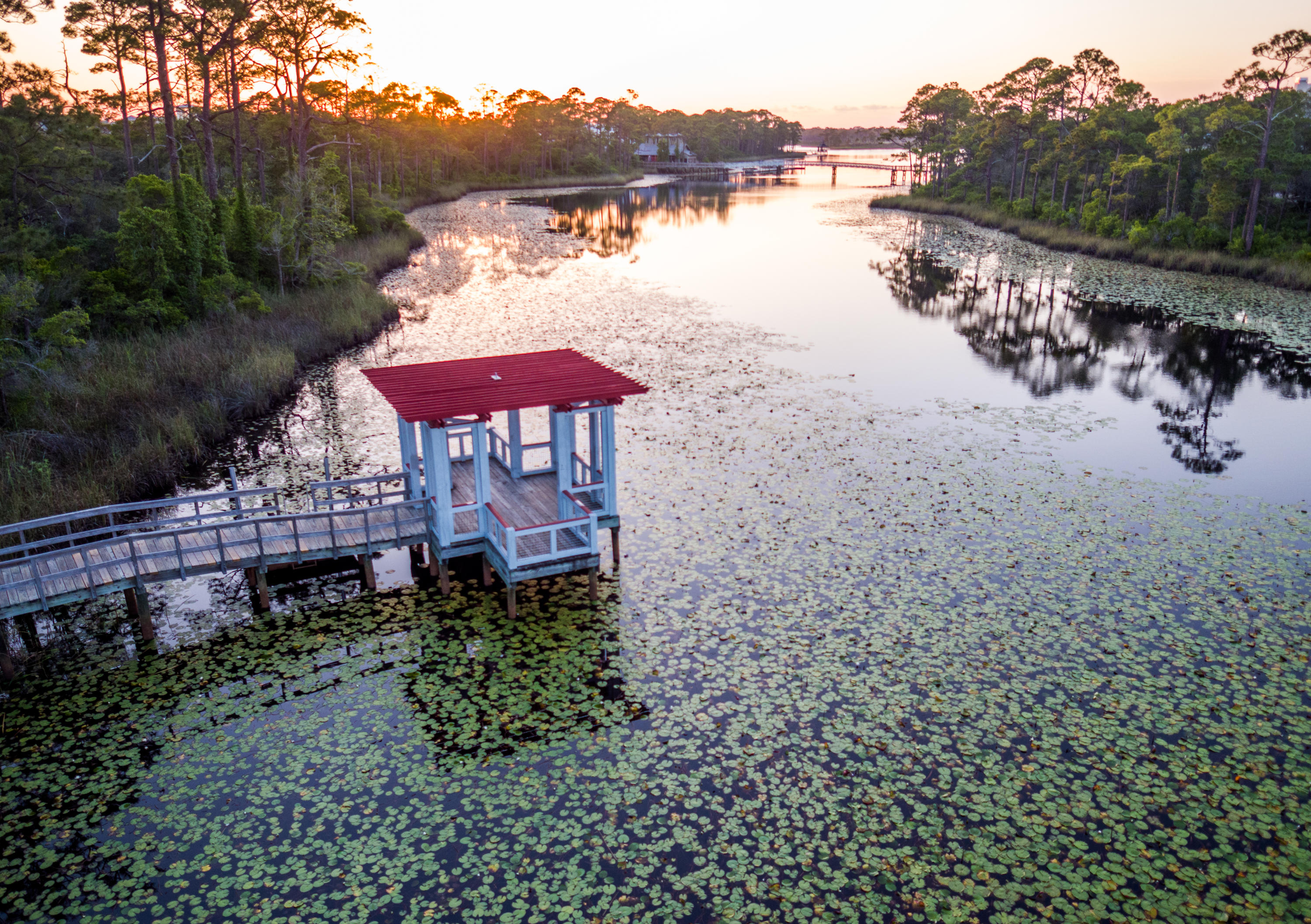 64 Vermilion Way Santa Rosa Beach, FL 32459 - Photo 57 of 60 DJI_0283
