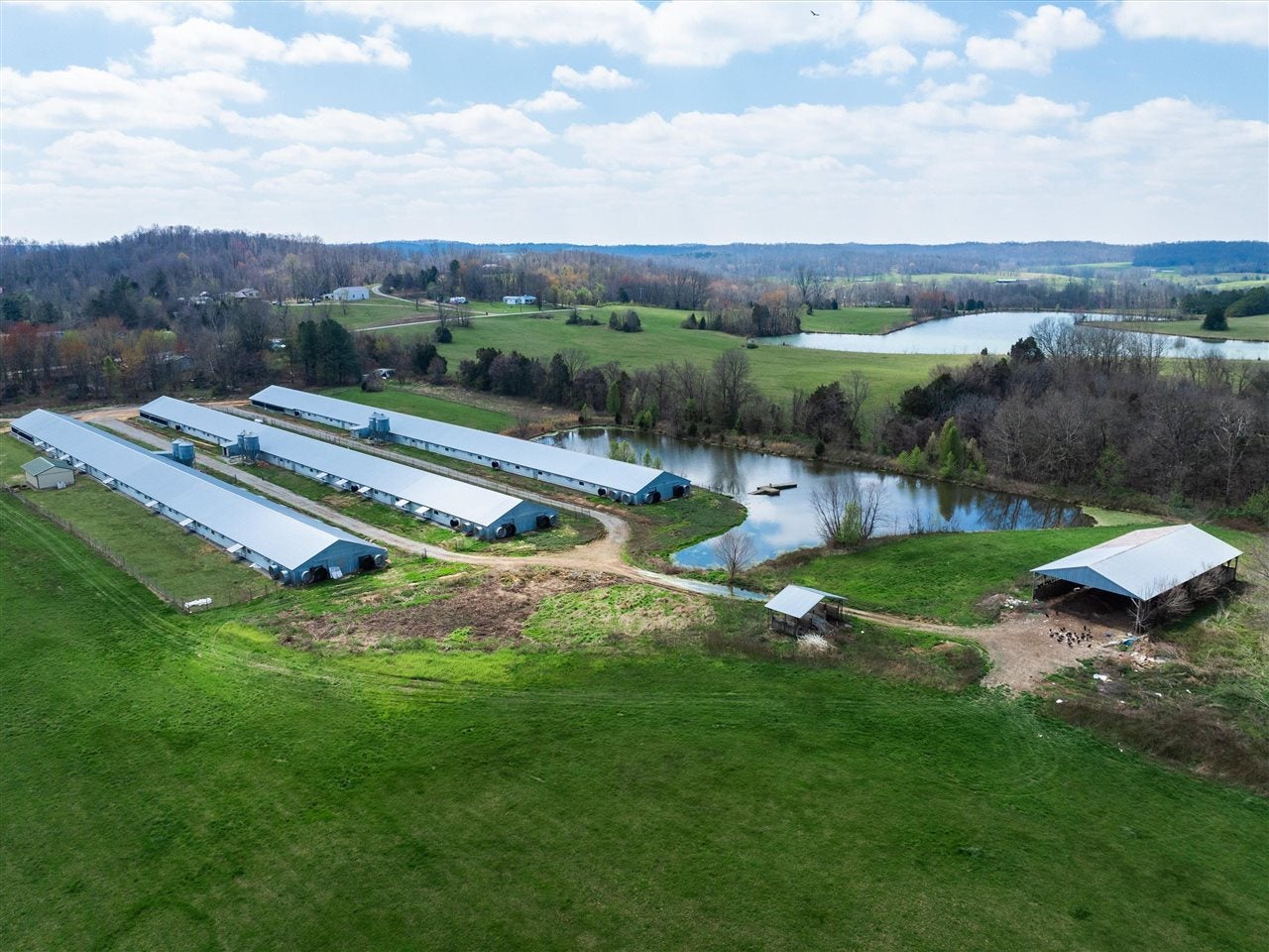 5610 Caney Creek Road Caneyville, KY 42721 - Photo 1 of 1 Gallery Image 1
