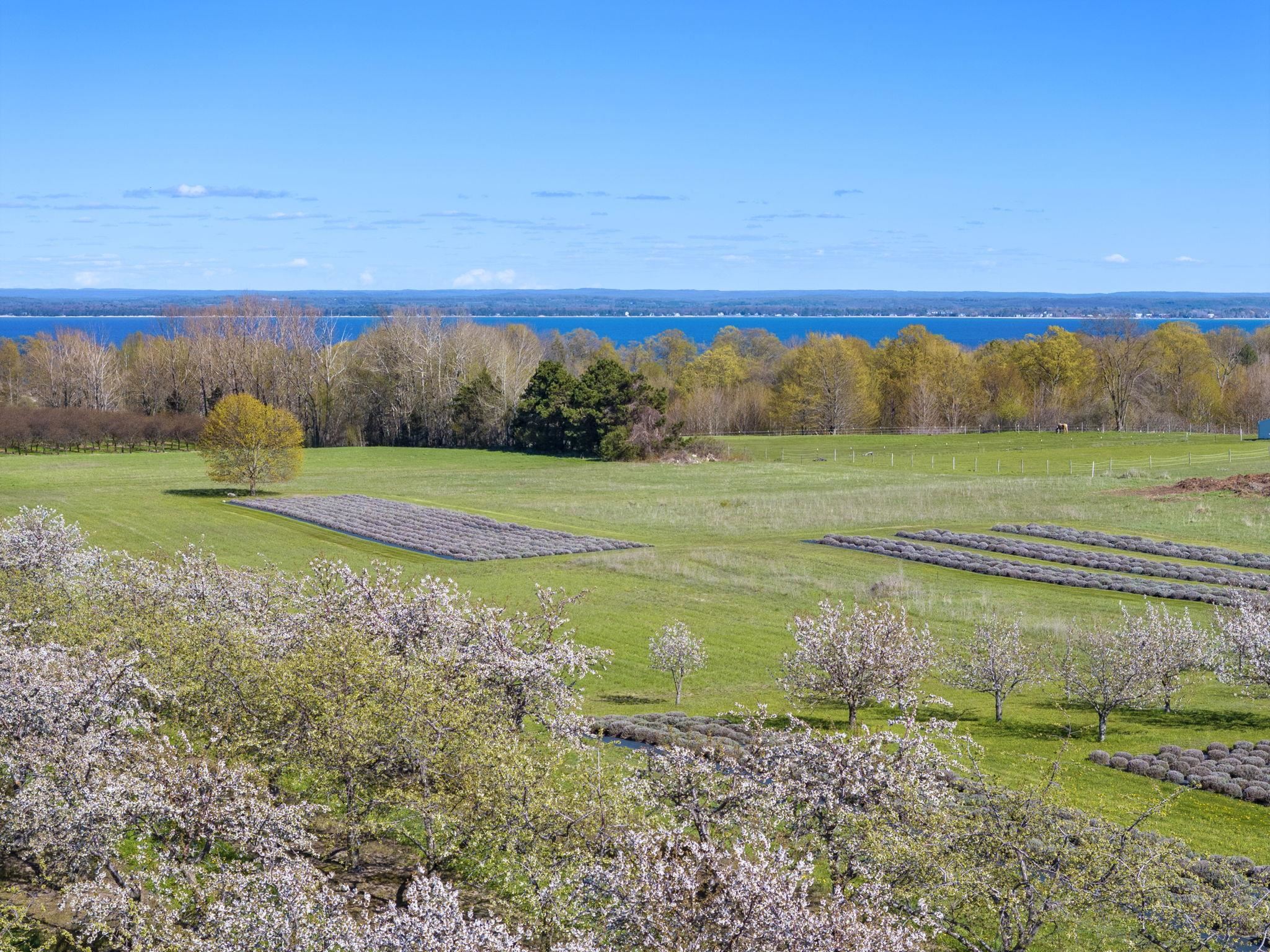 17770 Center Road Traverse City, MI 49686 - Photo 97 of 97