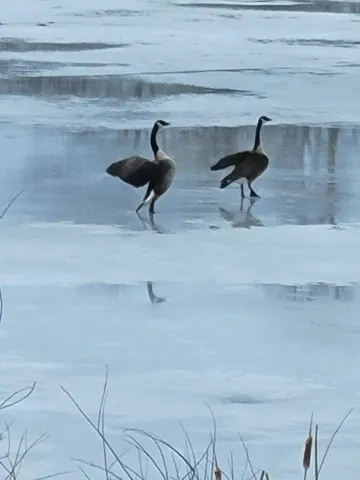 $299,900 | W6641 North Lakeshore Drive, Sugar Creek, WI 53121