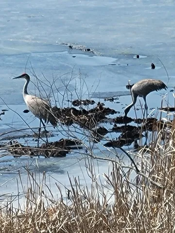 $299,900 | W6641 North Lakeshore Drive, Sugar Creek, WI 53121