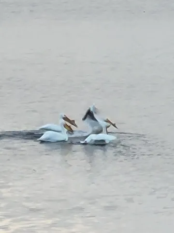 $299,900 | W6641 North Lakeshore Drive, Sugar Creek, WI 53121