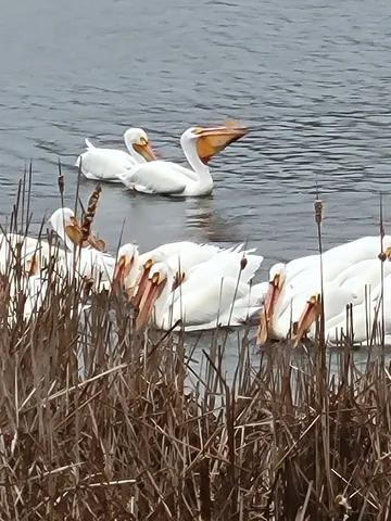 $299,900 | W6641 North Lakeshore Drive, Sugar Creek, WI 53121