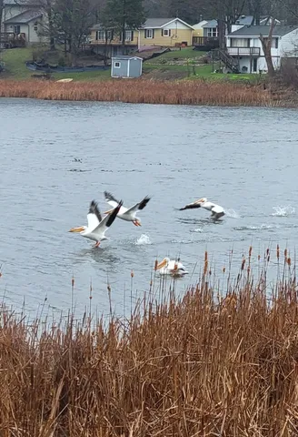 $299,900 | W6641 North Lakeshore Drive, Sugar Creek, WI 53121