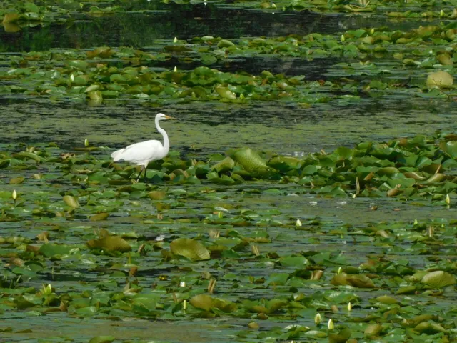 $299,900 | W6641 North Lakeshore Drive, Sugar Creek, WI 53121