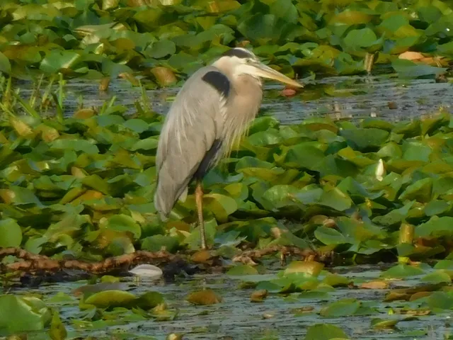 $299,900 | W6641 North Lakeshore Drive, Sugar Creek, WI 53121