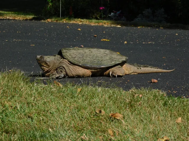 $299,900 | W6641 North Lakeshore Drive, Sugar Creek, WI 53121