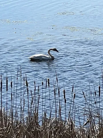 $299,900 | W6641 North Lakeshore Drive, Sugar Creek, WI 53121