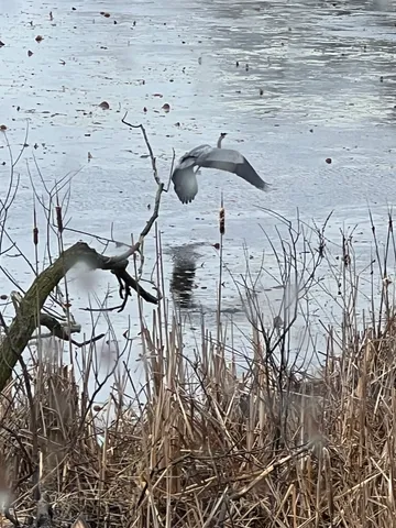 $299,900 | W6641 North Lakeshore Drive, Sugar Creek, WI 53121