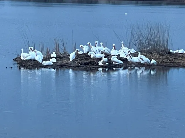 $299,900 | W6641 North Lakeshore Drive, Sugar Creek, WI 53121