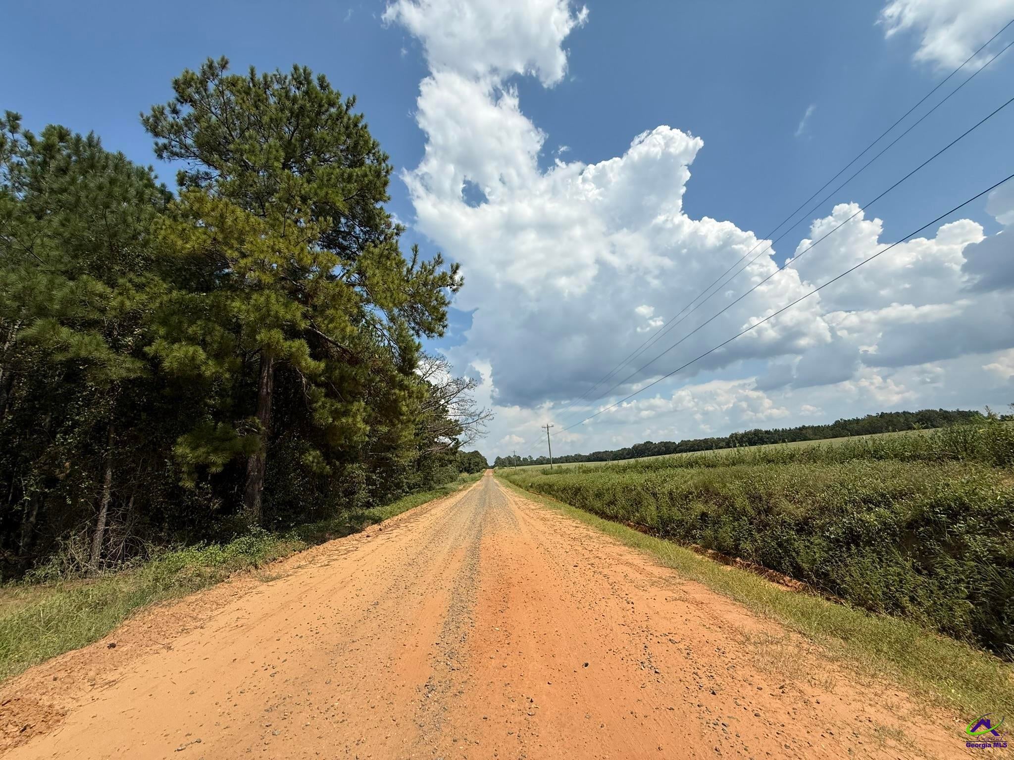 124 North County Line Road Unadilla, GA 31091 - Photo 49 of 49 Gallery Image 49