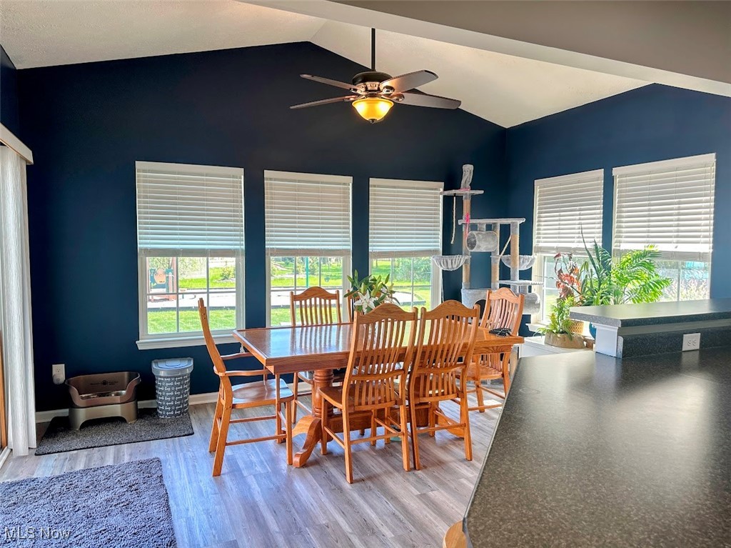 31944 Rustic Ridge North Ridgeville, OH 44039 - Photo 9 of 43 Sunny Morning Room