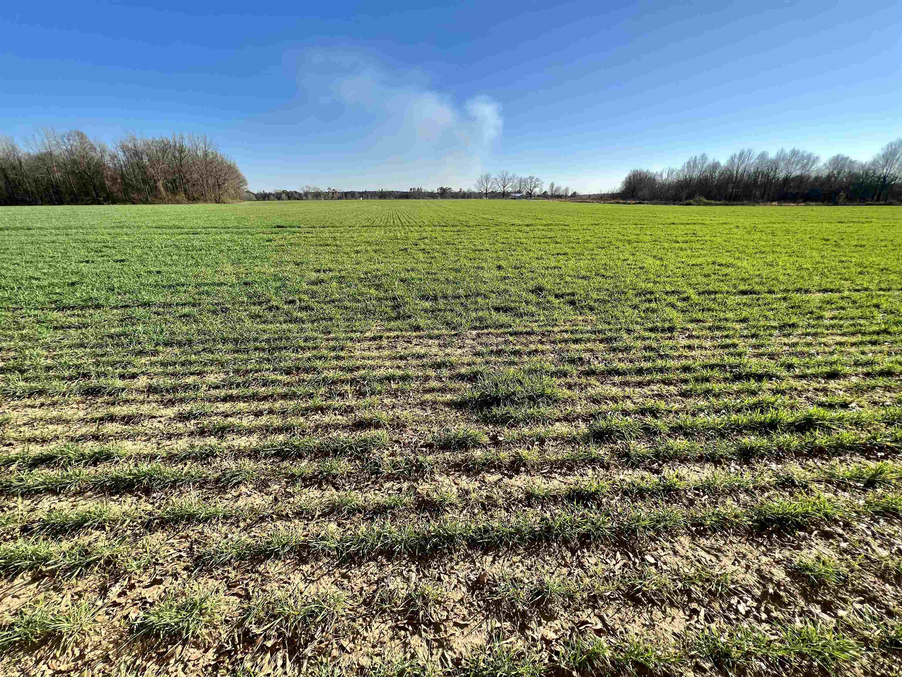 0 Country Road Atmore, AL 36502 - Photo 27 of 27
