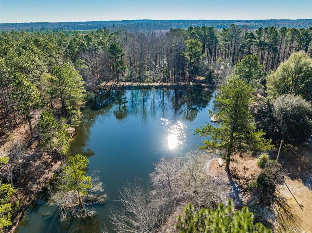 3336 Davis Bridge Road Williston, SC 29853 - Photo 2 of 60