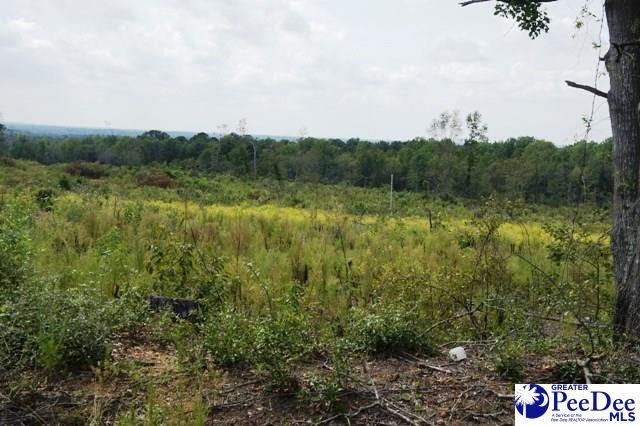 Stepp Road Bennettsville, SC 29512 - Photo 1 of 1 Gallery Image 1