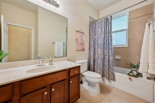 a view of a garden with plants