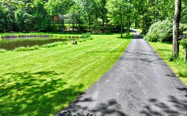 a view of a park with large trees