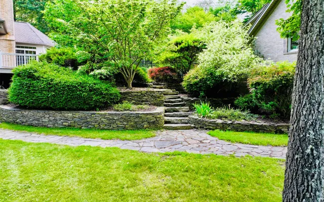 a view of a backyard with plants and a garden