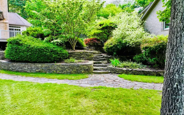 a view of a backyard with plants and a garden