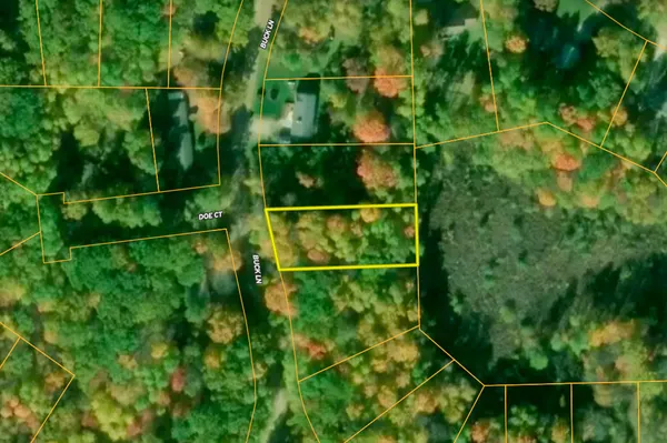 $5,500 | Lot 70 Buck Lane, Harrison, MI 48625