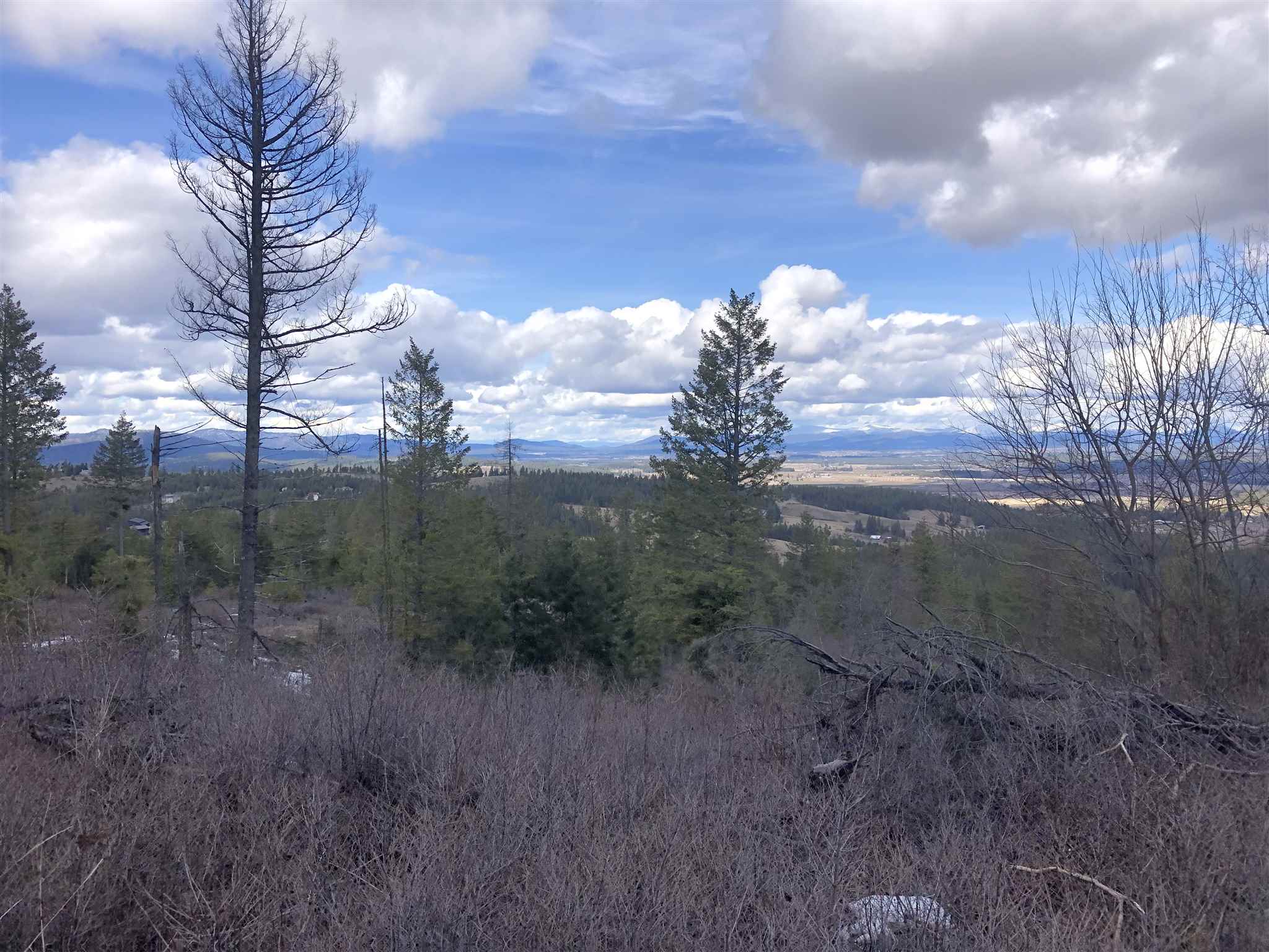 Tract B West Bernhill Road Spokane, WA 99208 - Photo 11 of 20