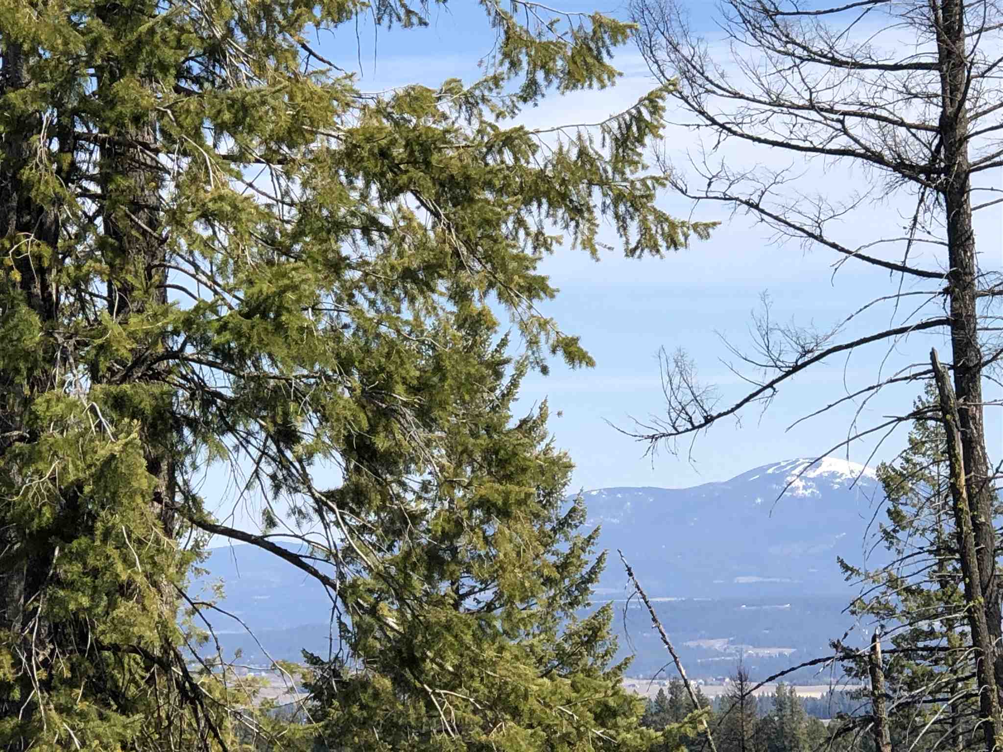 Tract B West Bernhill Road Spokane, WA 99208 - Photo 12 of 20
