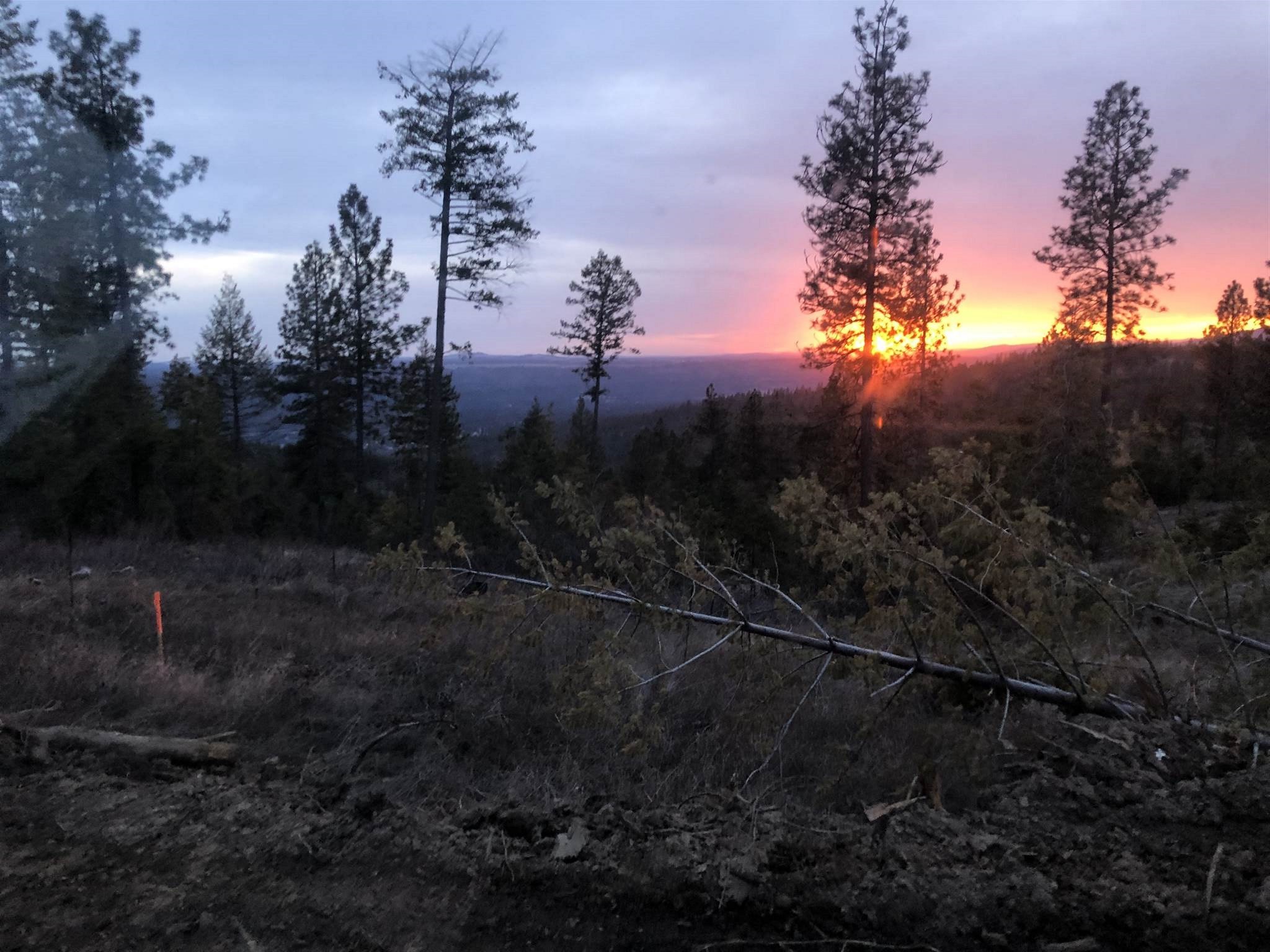 Tract B West Bernhill Road Spokane, WA 99208 - Photo 16 of 20