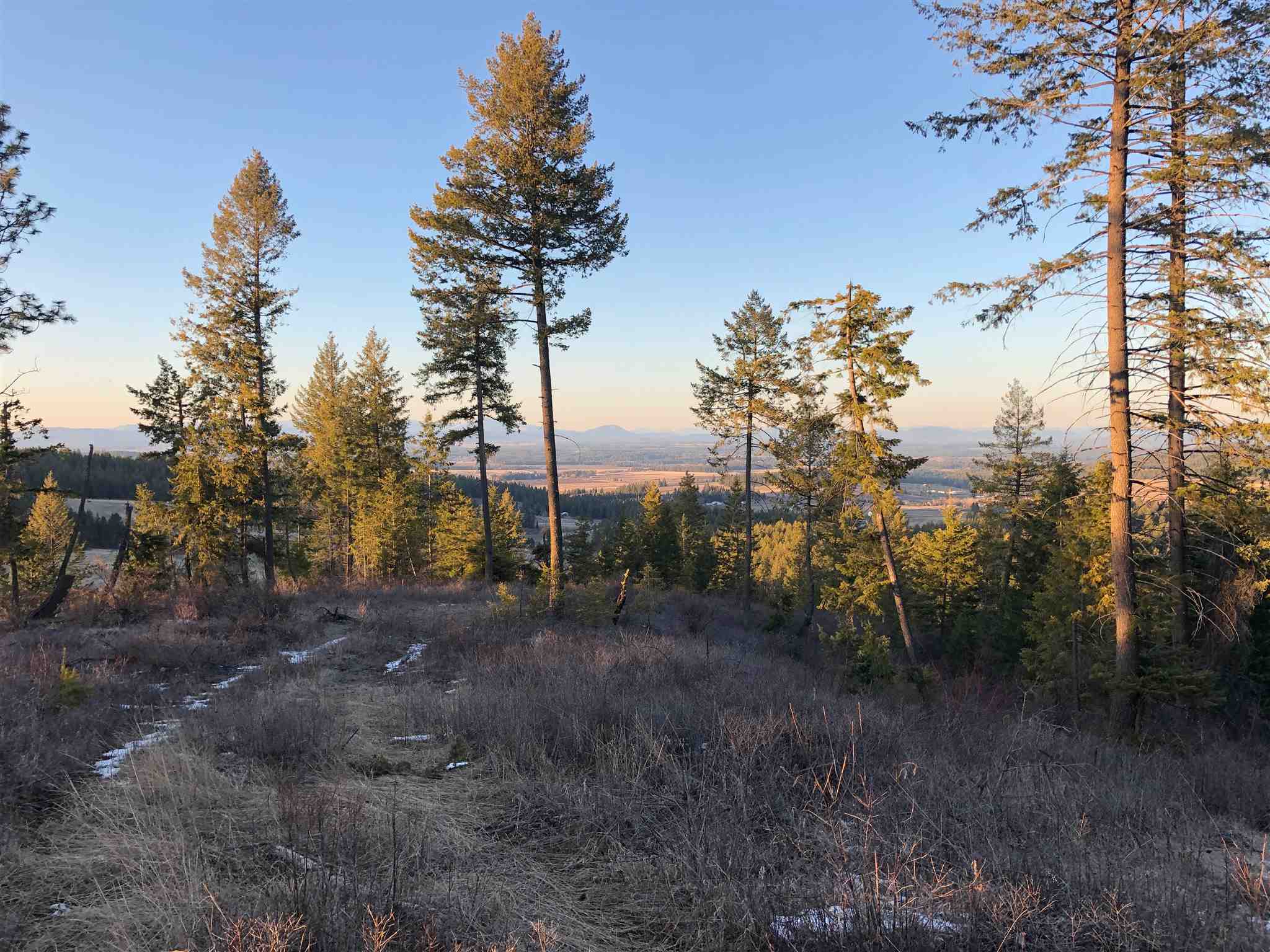 Tract B West Bernhill Road Spokane, WA 99208 - Photo 17 of 20