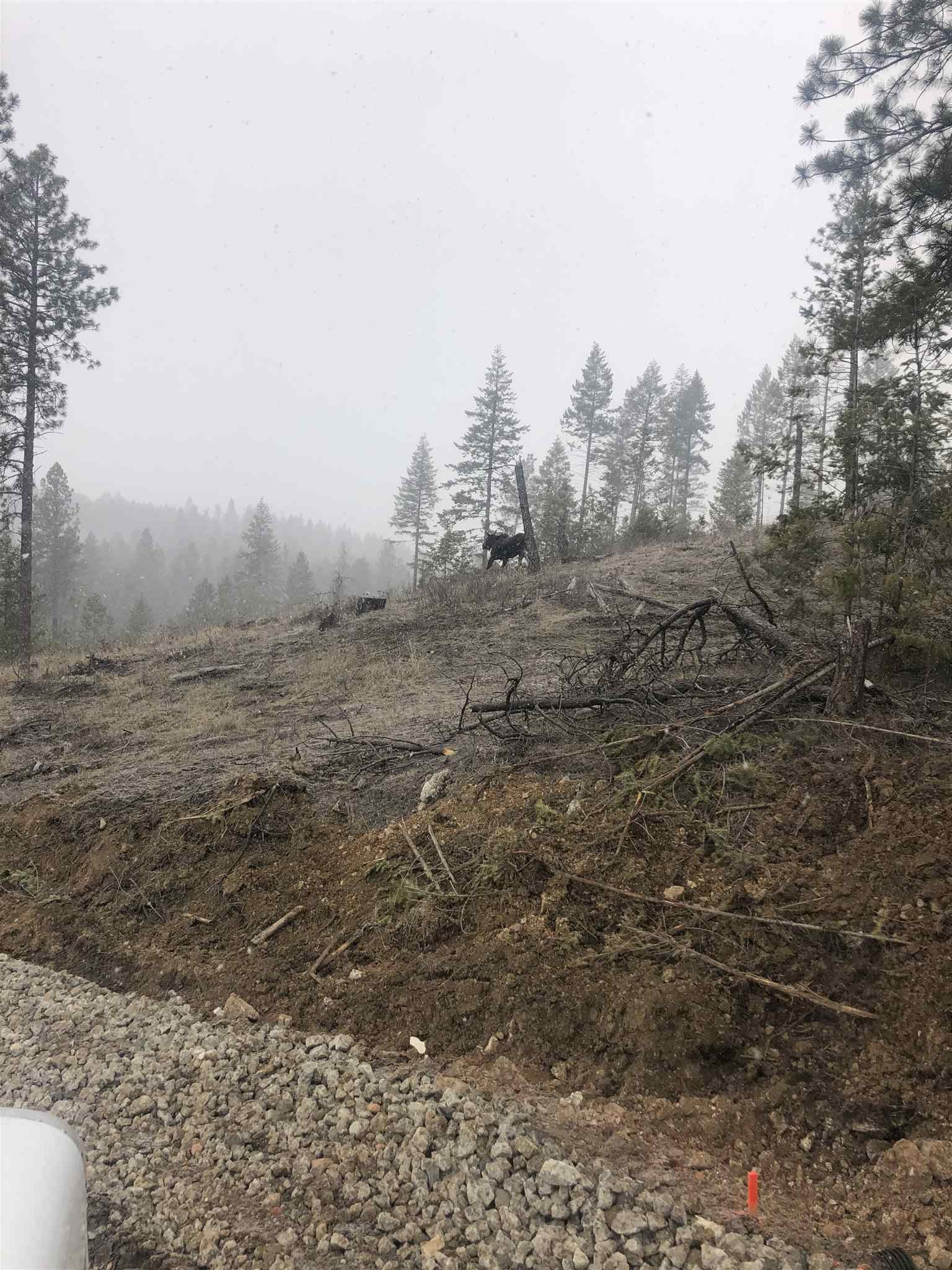 Tract B West Bernhill Road Spokane, WA 99208 - Photo 18 of 20
