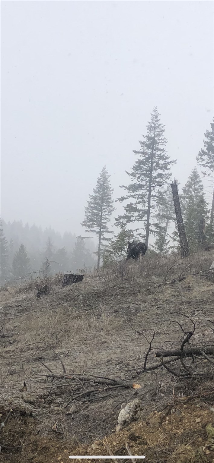Tract B West Bernhill Road Spokane, WA 99208 - Photo 19 of 20