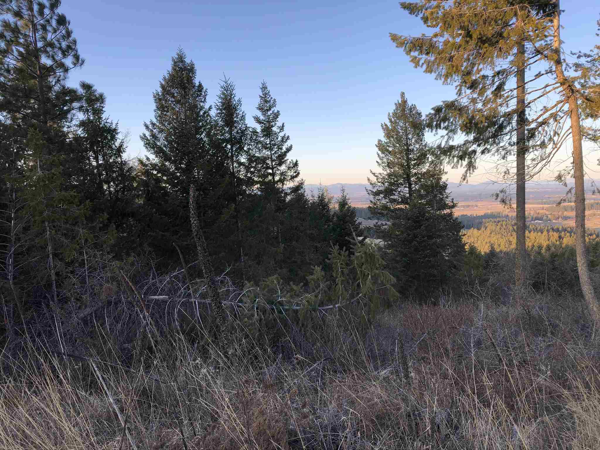 Tract B West Bernhill Road Spokane, WA 99208 - Photo 3 of 20