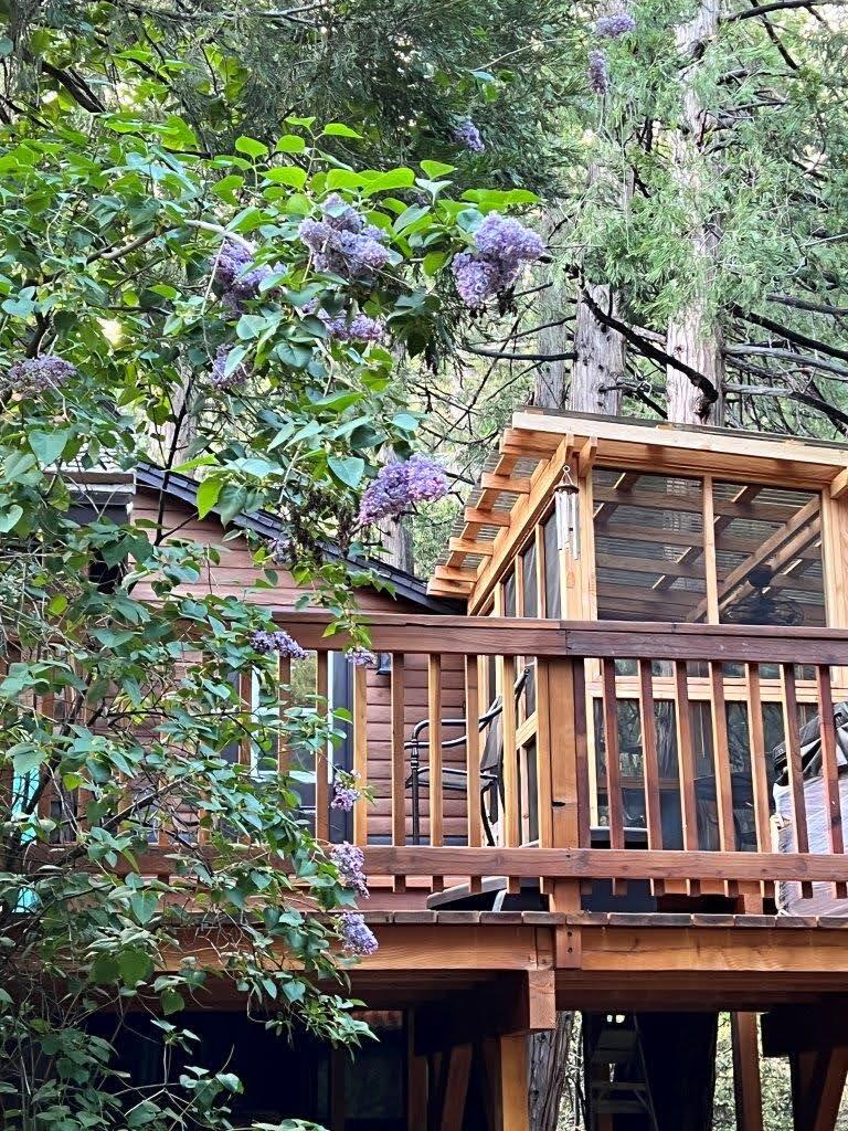 25835 Wayne Road Idyllwild, CA 92549 - Photo 49 of 54 IMG_6445