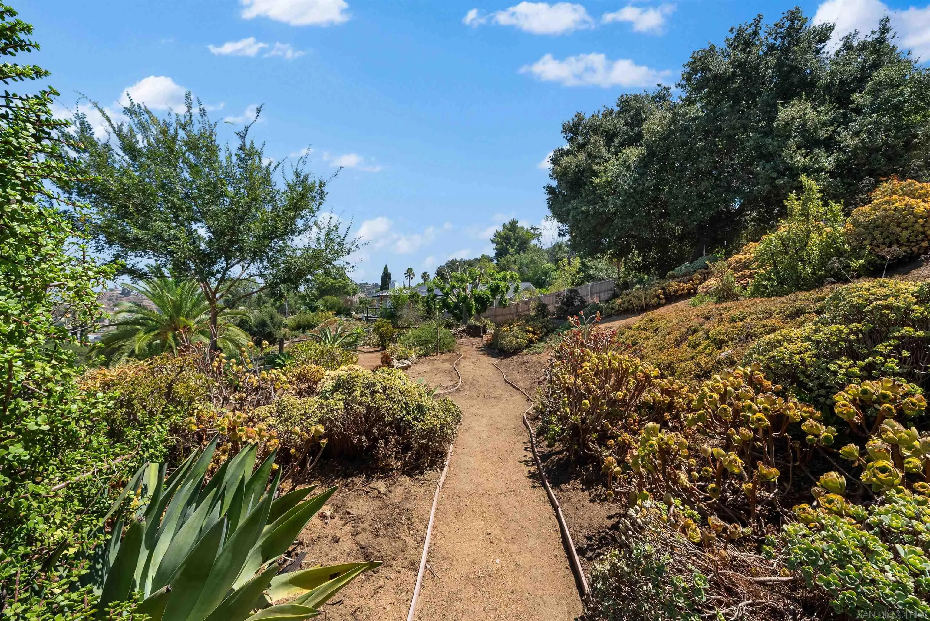 1262 Horizon Ridge El Cajon, CA 92020 - Photo 64 of 68 a view of a pathway both side of yard