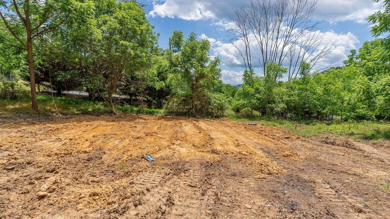 456 Dabneys Road Raphine, VA 24472 - Photo 10 of 24