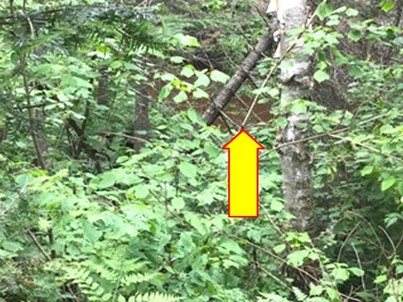 18325 South Sullivan Creek Road Rudyard, MI 49780 - Photo 20 of 30 Gallery Image 20