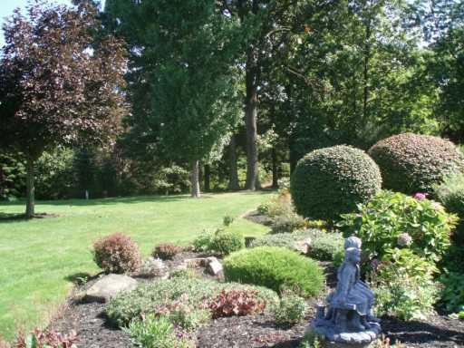 585 Springer Road Freedom, PA 15042 - Photo 2 of 8 Yard/Garden.