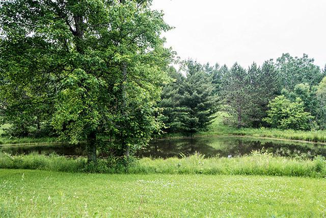 19785 Nunda Road Howard, OH 43028 - Photo 7 of 35 Gallery Image 7