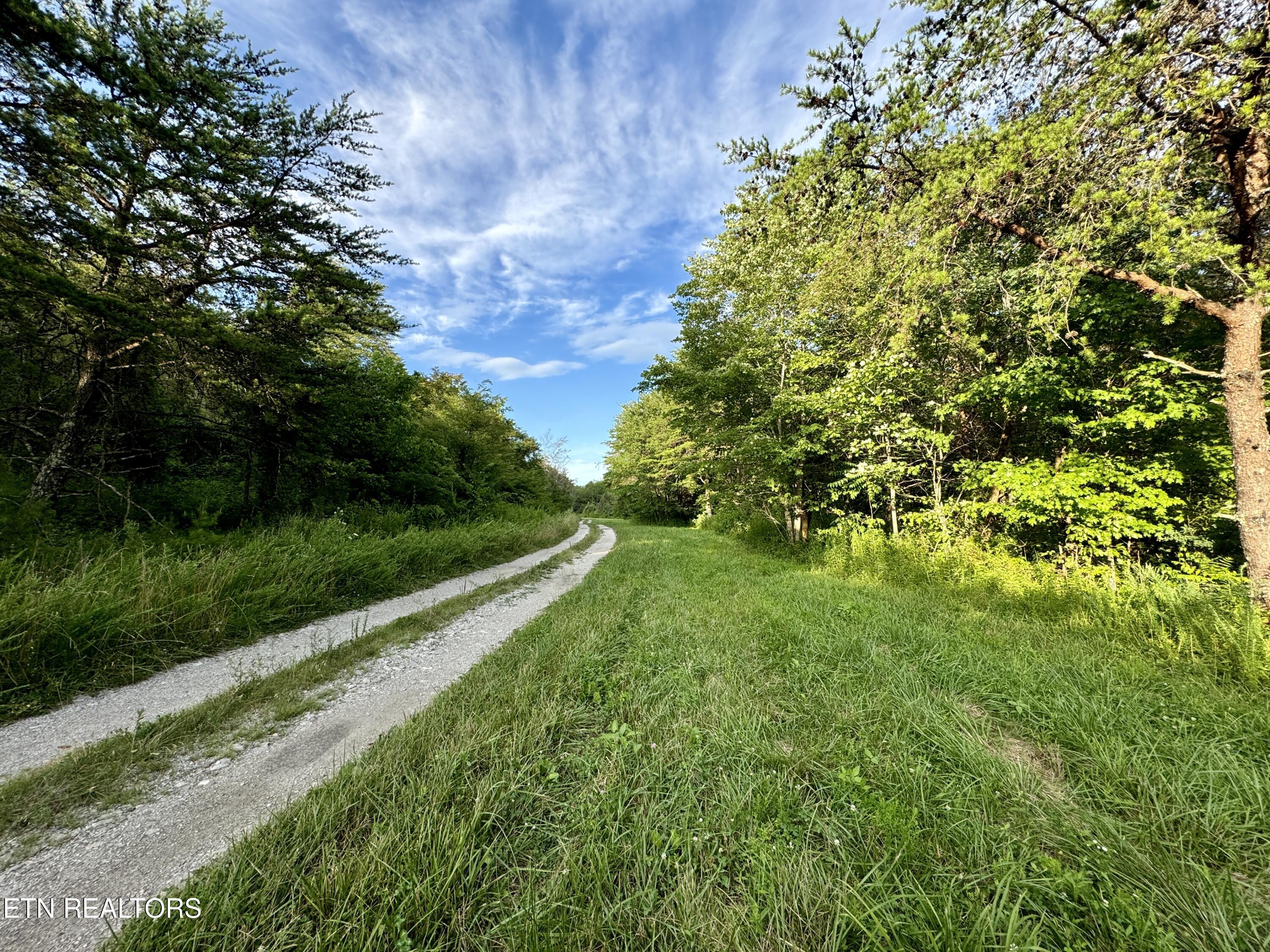 Smith Creek Road Oneida, TN 37841 - Photo 11 of 42 11