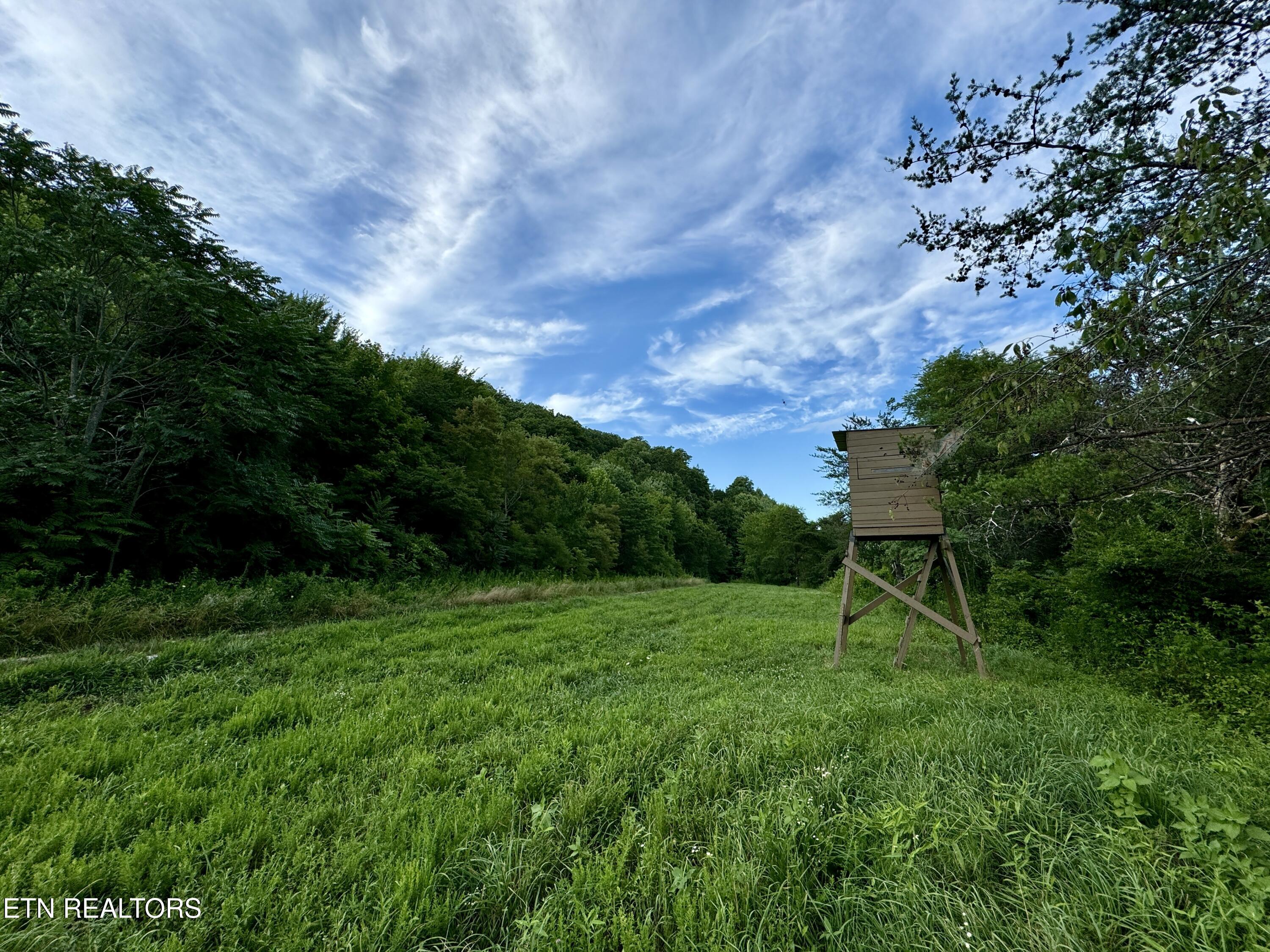 Smith Creek Road Oneida, TN 37841 - Photo 12 of 42 12