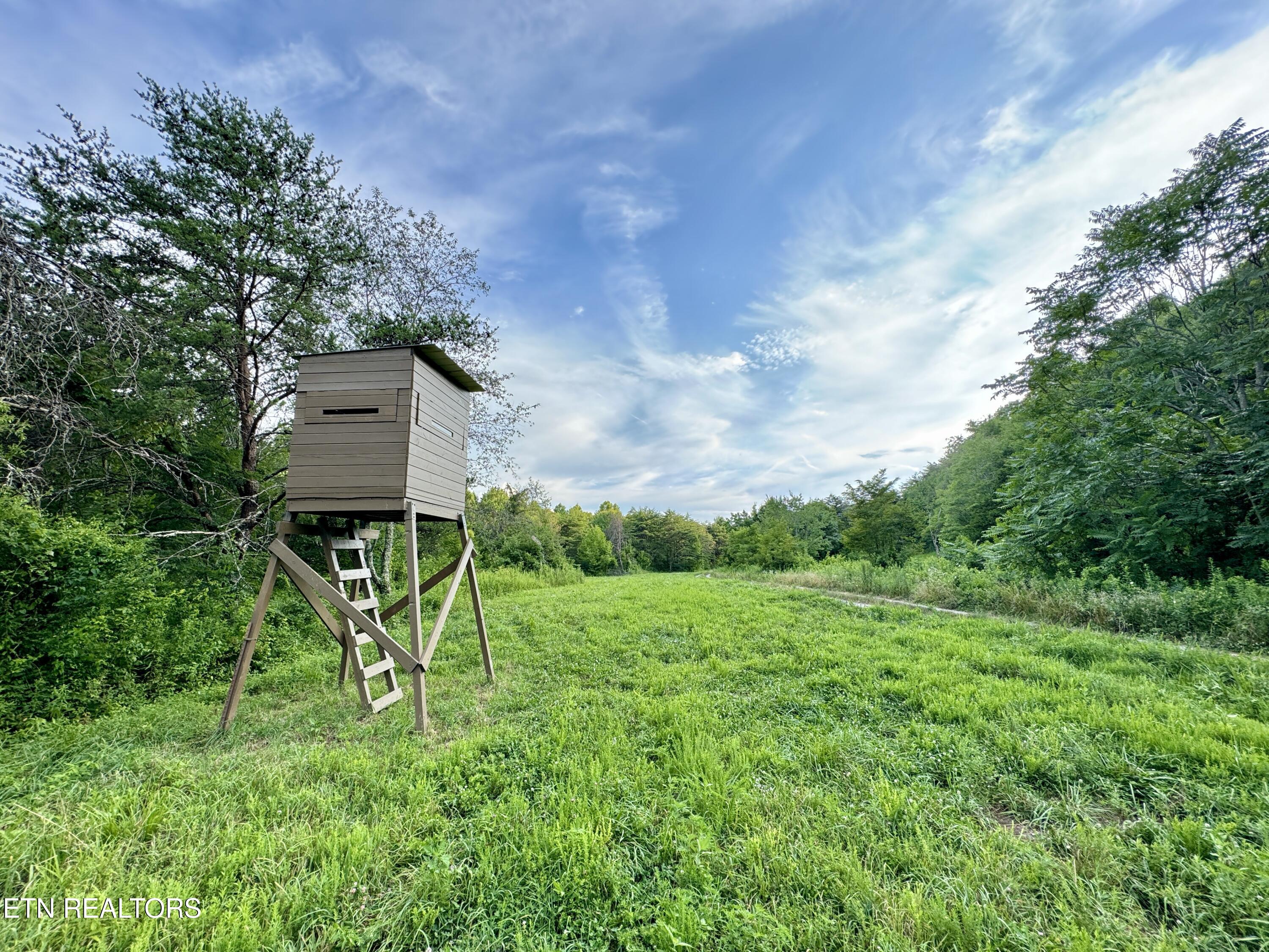 Smith Creek Road Oneida, TN 37841 - Photo 13 of 42 13