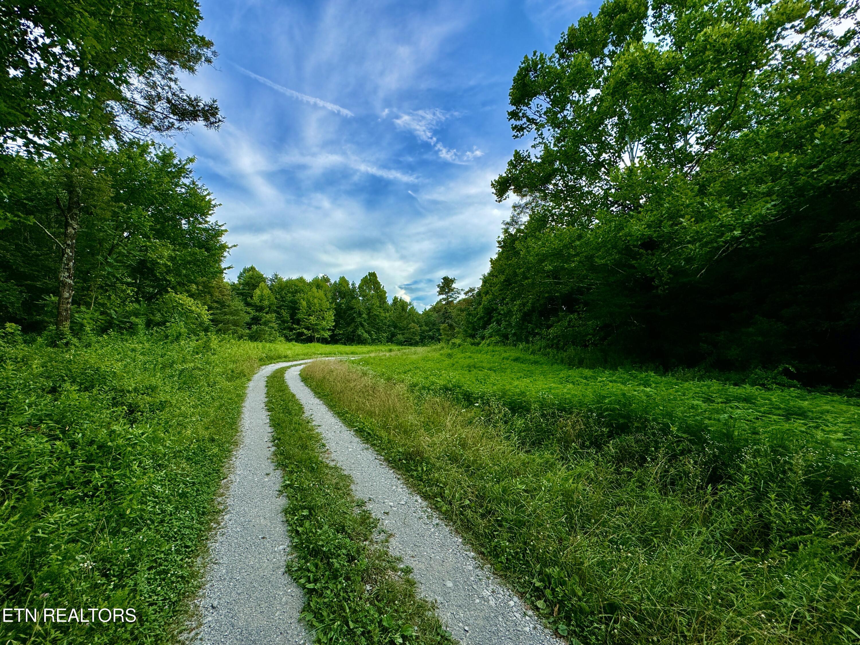 Smith Creek Road Oneida, TN 37841 - Photo 14 of 42 14