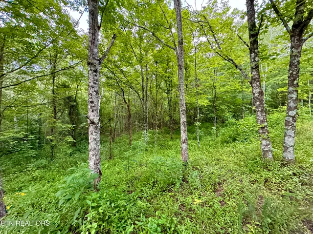 $1,340,938 | Smith Creek Road, Oneida, TN 37841